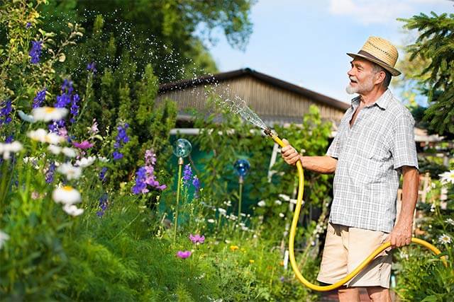 Der Wasserschaden beim Blumengießen - Rechtsschutz-Versicherung