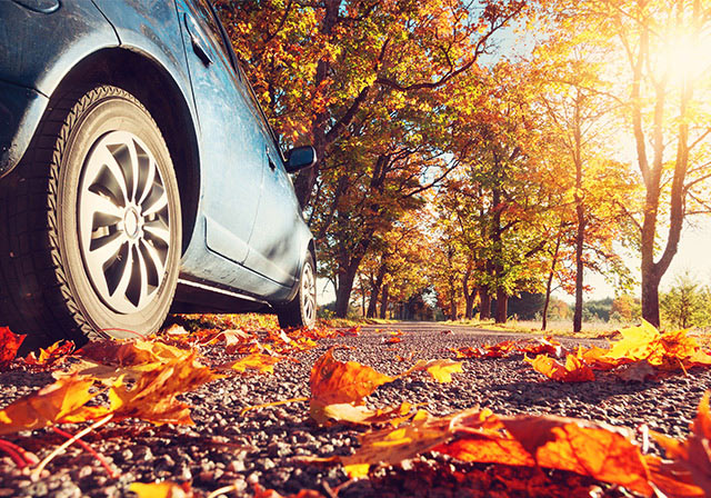 tipps-auto-herbst-rechtsschutzversicherung-10-2016