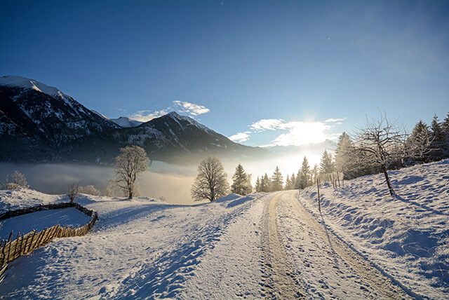 Winterreifenpflicht im Ausland