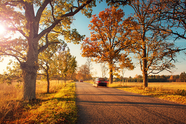 Mit dem Auto sicher durch den Herbst!