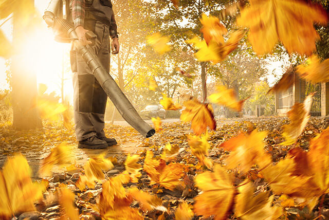 Herbststreitigkeiten 