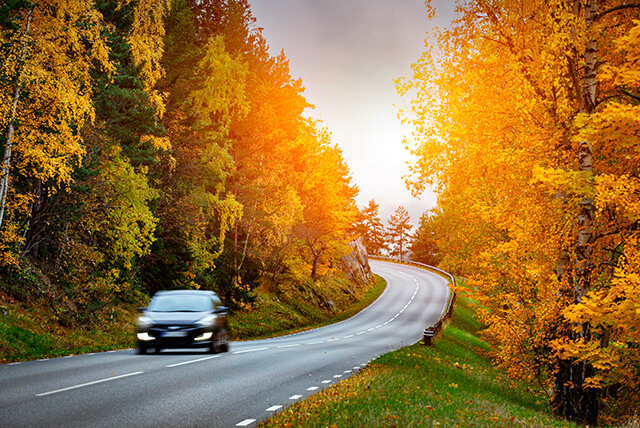 Mit dem Auto sicher durch den Herbst!