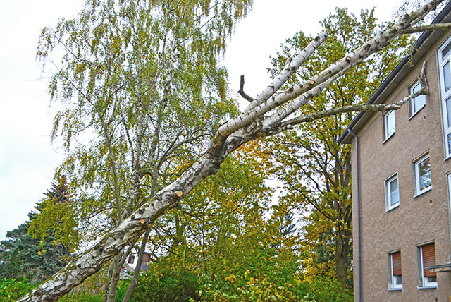 sturmabsicherung-am-eigenheim